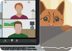 Cat with laptop